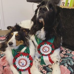 Meet your Posher, Anne